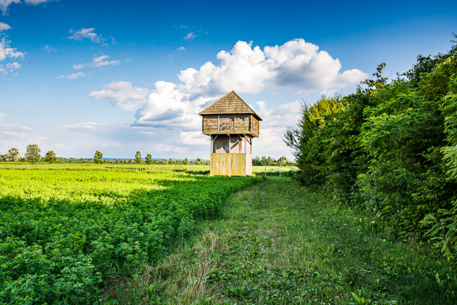 Balkan-2019-07-14-Gyenesdias-Mrakovica_107