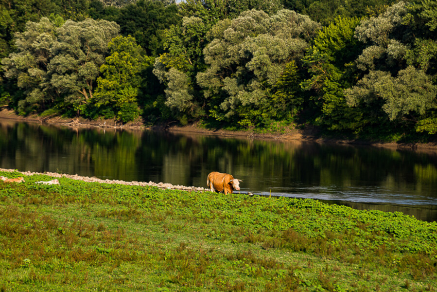 Balkan-2019-07-14-Gyenesdias-Mrakovica_120