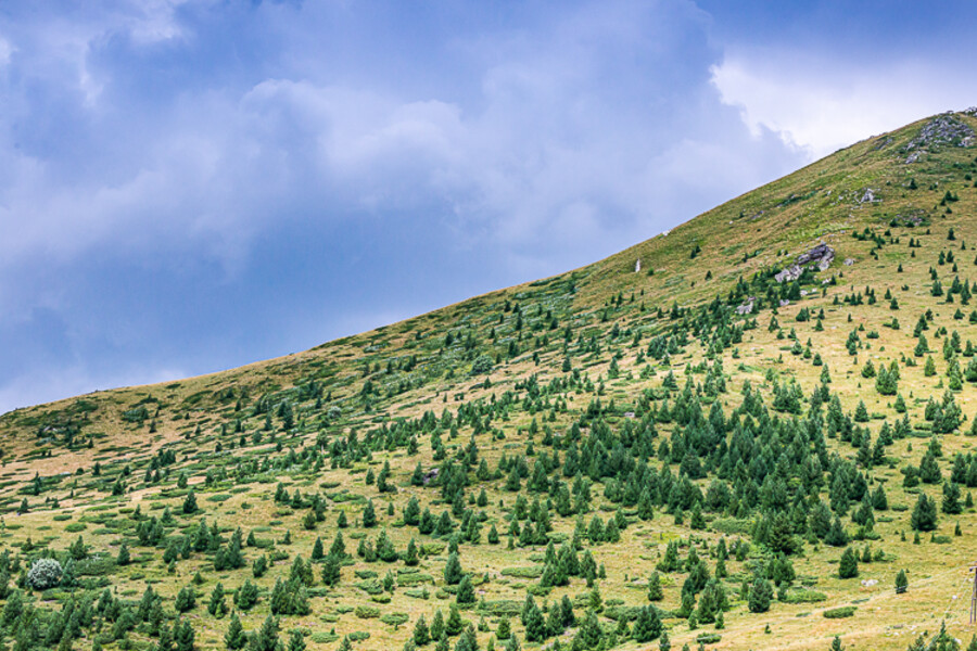 Balkan-2019-07-28-Tetovo-Prizren_022
