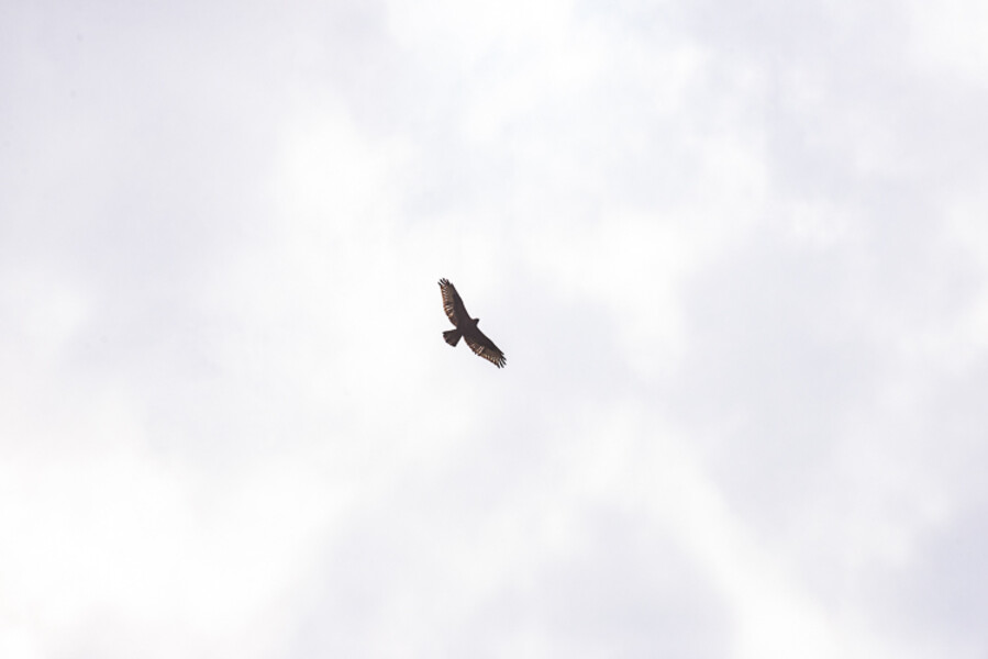 Balkan-2019-07-28-Tetovo-Prizren_033