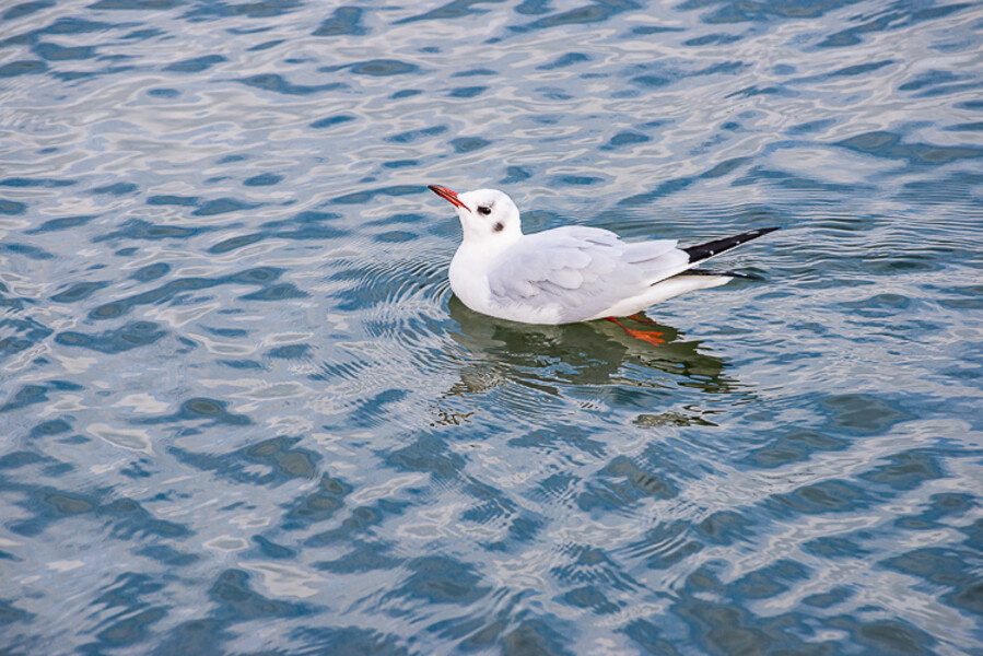 Cuxhaven