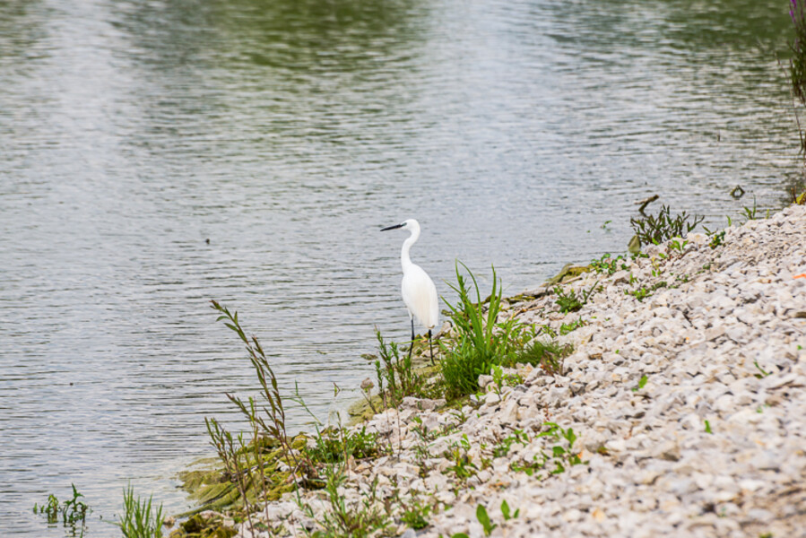 Balkan-2019-07-14-Gyenesdias-Mrakovica_042