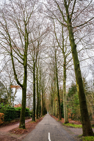 Zeist