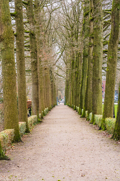 Zeist
