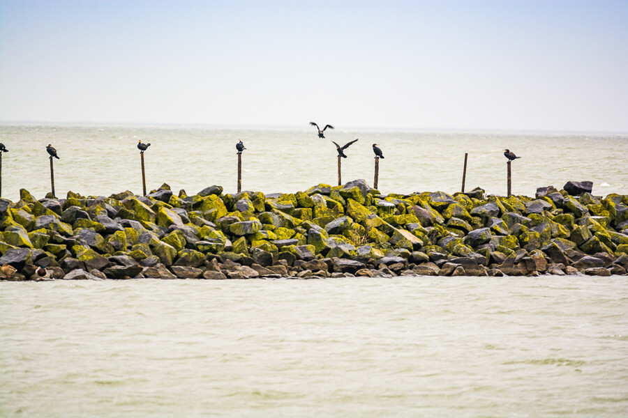 Lelystad