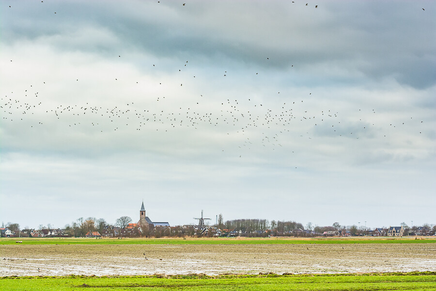 Holandsko_2020-01-03--11-_501