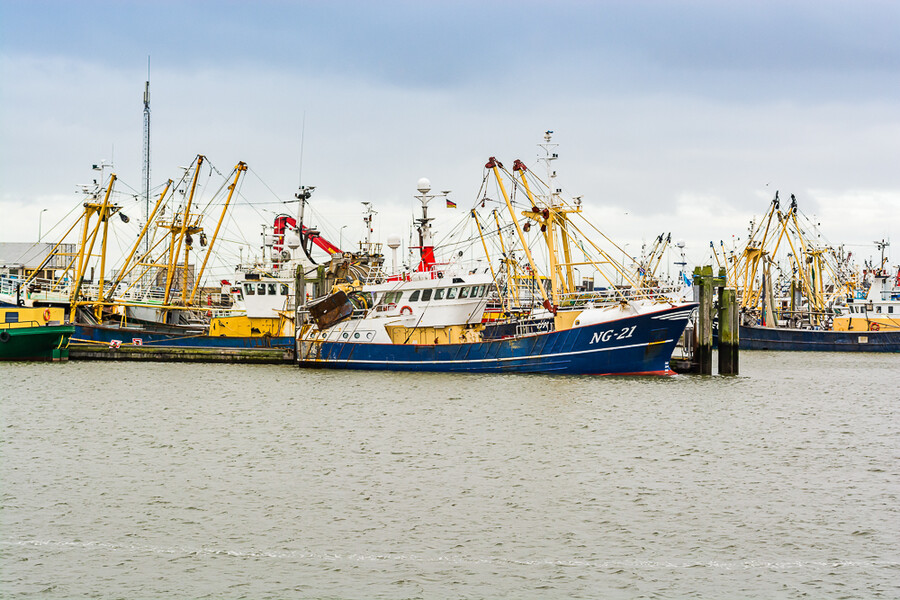 Lauwersoog