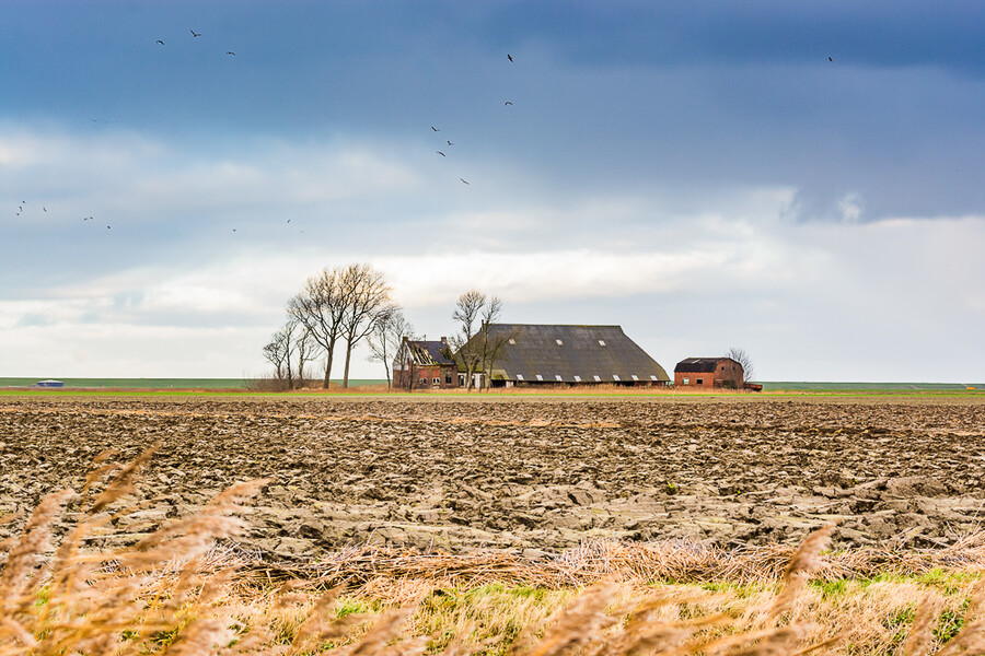 Holandsko_2020-01-03--11-_527