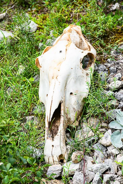 Balkan-2019-07-24-Valbona-Kukes_043