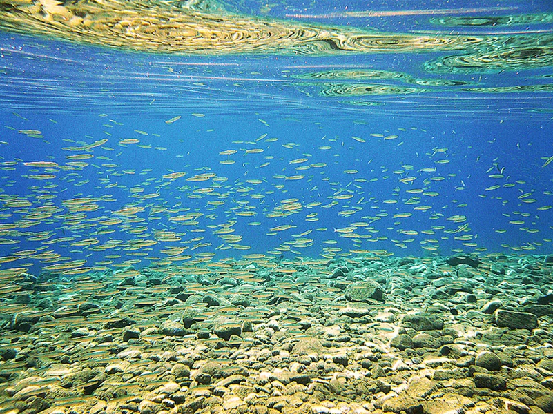 Dahab