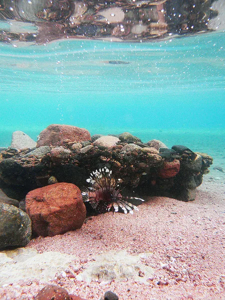 Dahab