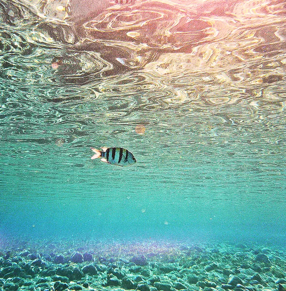 Dahab