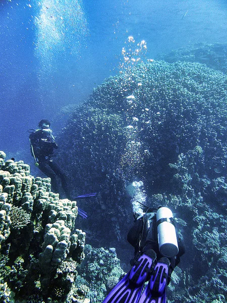 Dahab