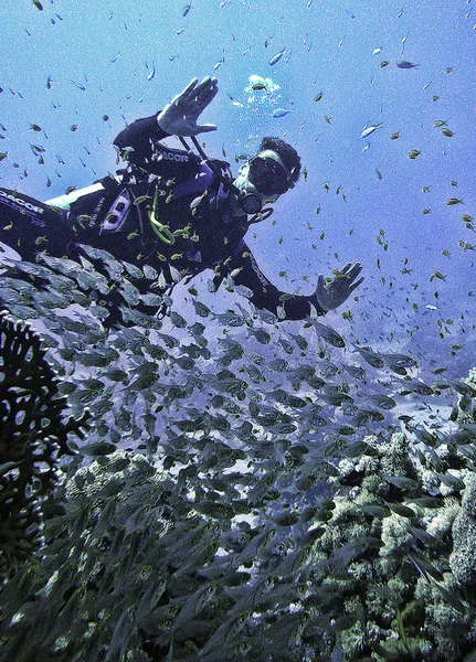 Dahab