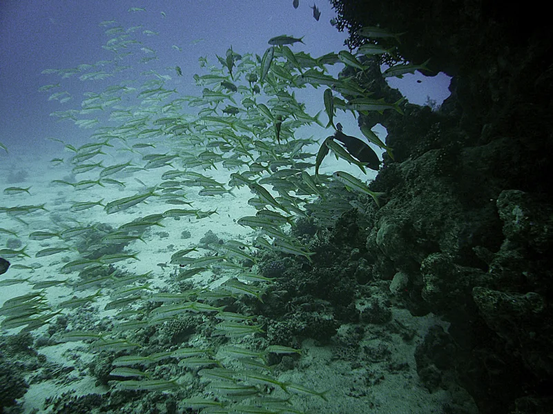 Hurghada