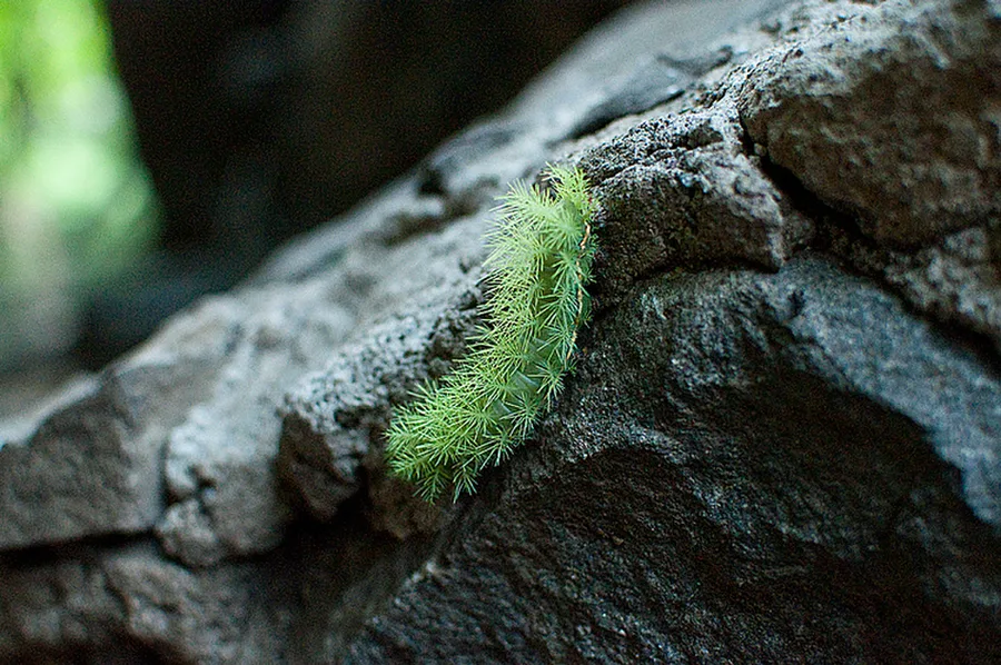 Tepoztlan