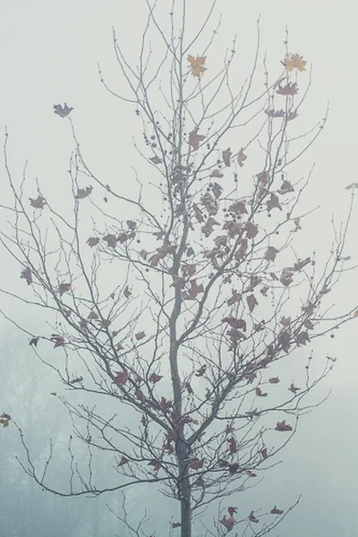 VOD_7965