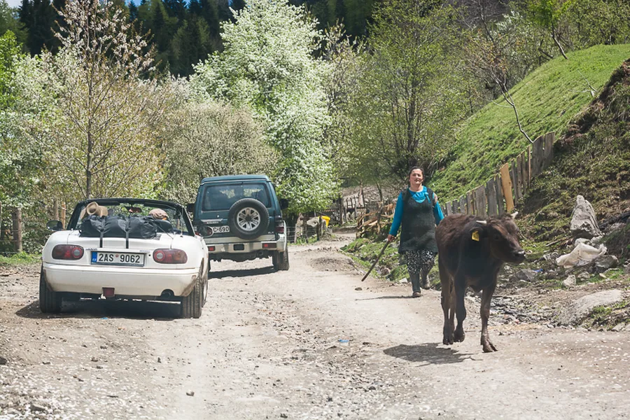 Shuasopeli