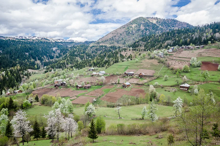 Goderdzi