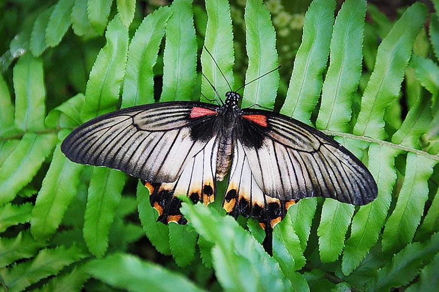 Botanická zahrada Praha