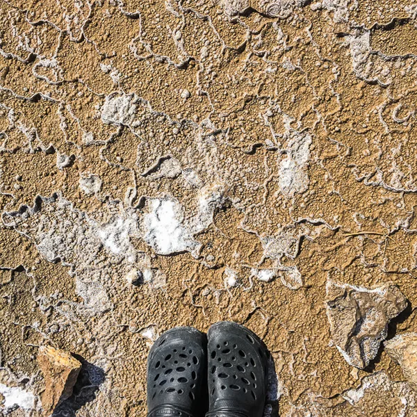 iran-2017_2071a