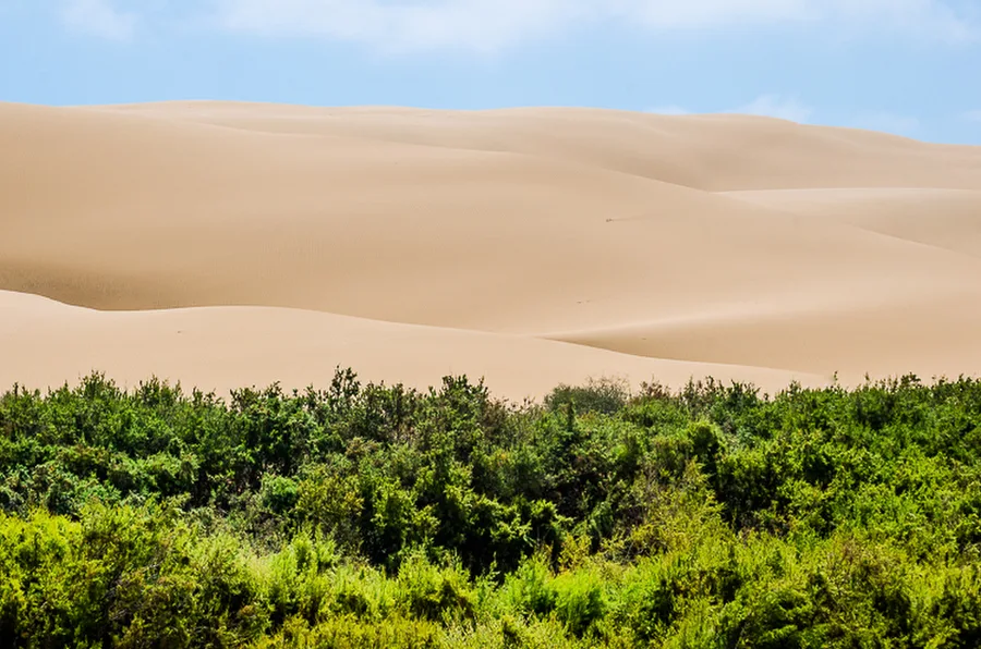 Maroko_2015_20-den_Plage-Blanche-Legzira_40