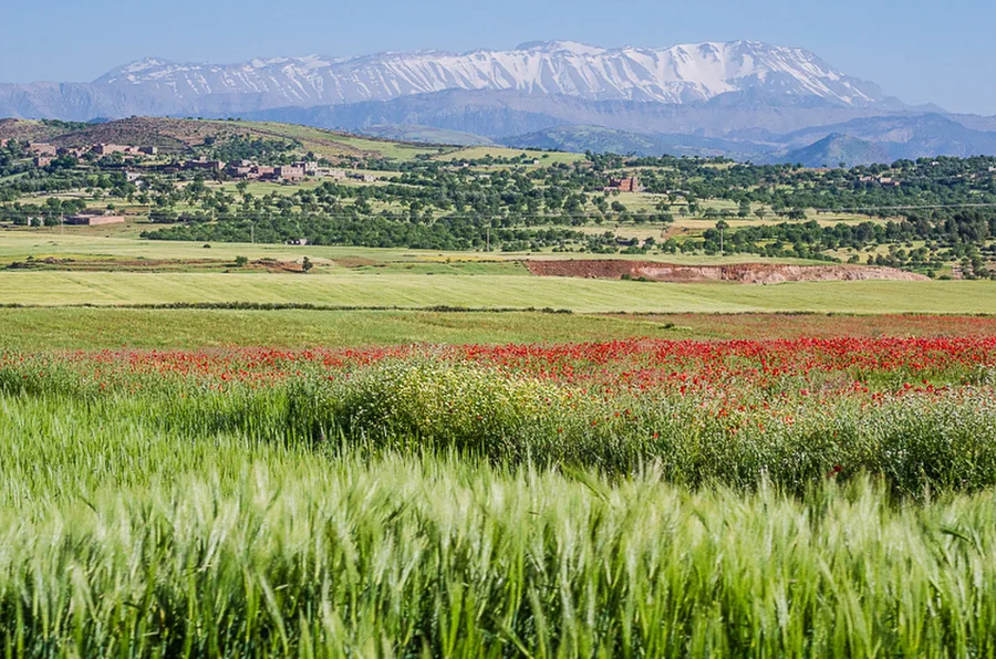 Maroko_2015_24-den_Marrakech-Ouzoud_259