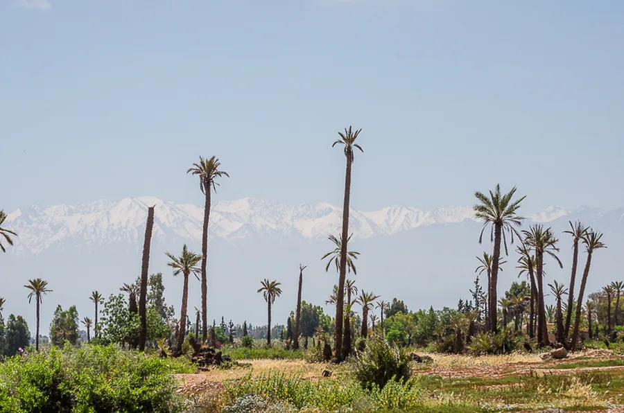 Maroko_2015_24-den_Marrakech-Ouzoud_32