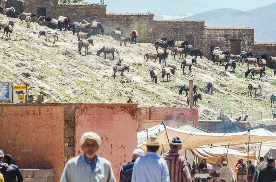 Maroko_2015_26-den_Ouzoud-Zaouia-Ahansal_11