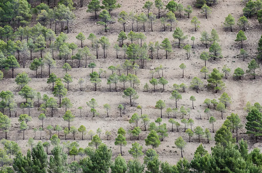 Maroko_2015_26-den_Ouzoud-Zaouia-Ahansal_309