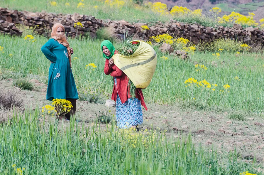 Maroko_2015_26-den_Ouzoud-Zaouia-Ahansal_338
