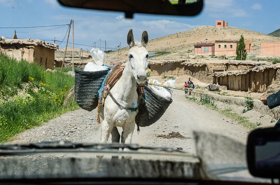 Maroko_2015_28-den_Bin-El-Ouidane-Imilchil-Agoudim_110