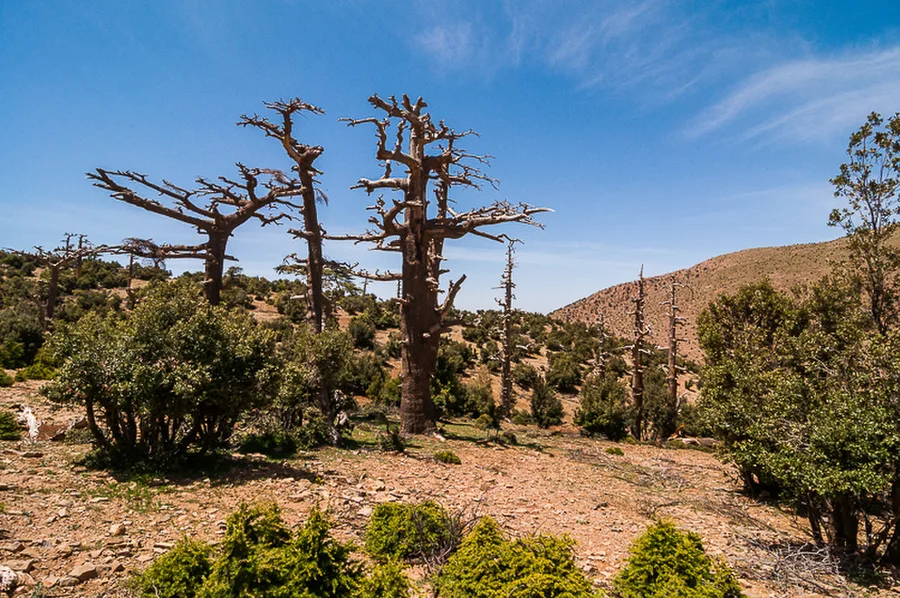Cirque de Jaffaar