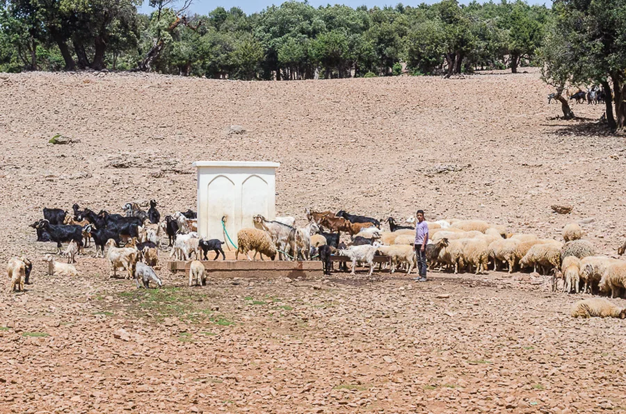 Maroko_2015_30-den_Ksar-Timnay-Fes-Taounate_35