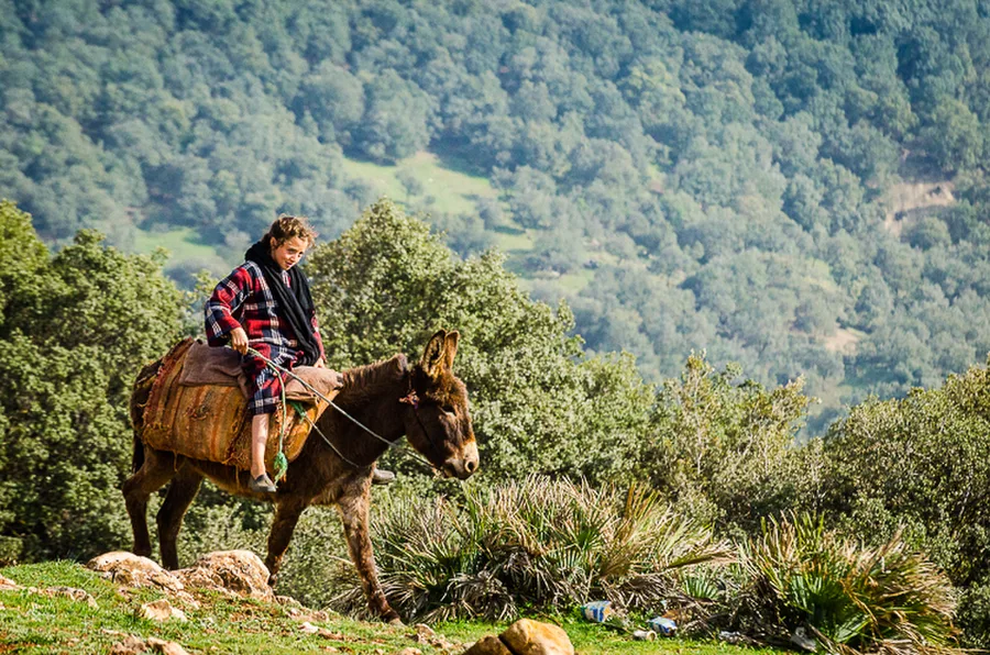 Maroko_2015_06-den_Moulay-Idriss-Ksar-Timnay_224
