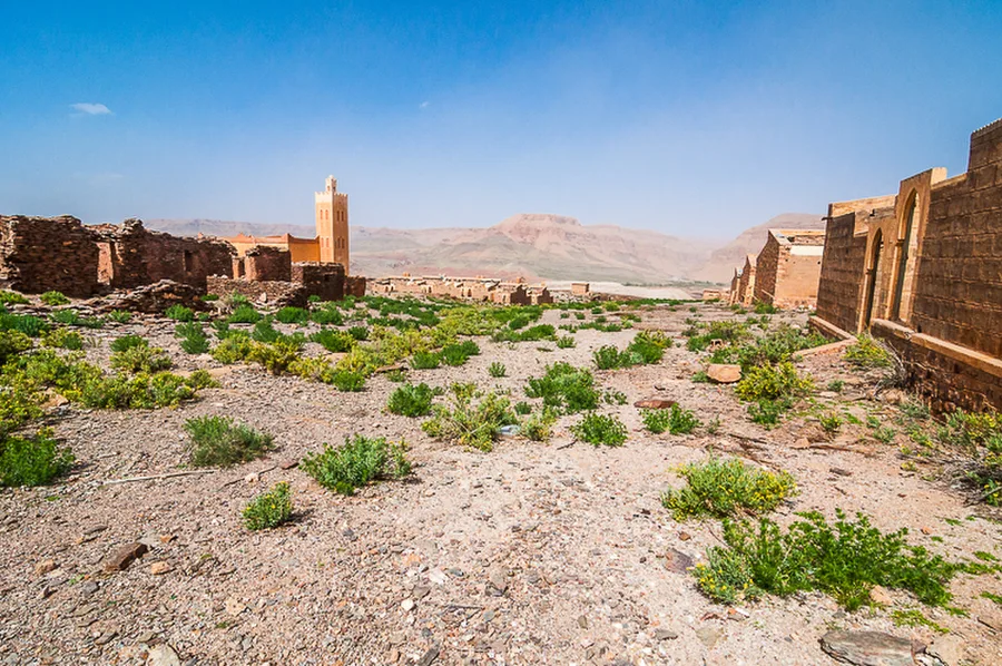 Maroko_2015_07-den_Ksar-Timnay-Midelt_156