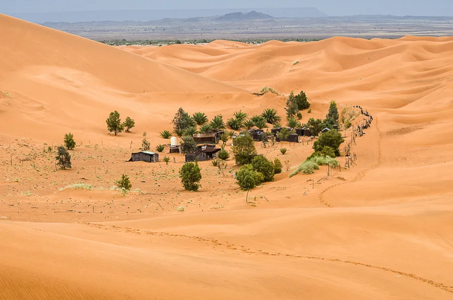 Erg Chebbi