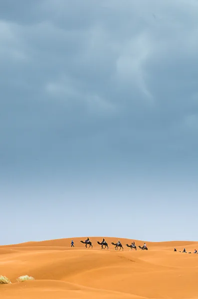 Erg Chebbi