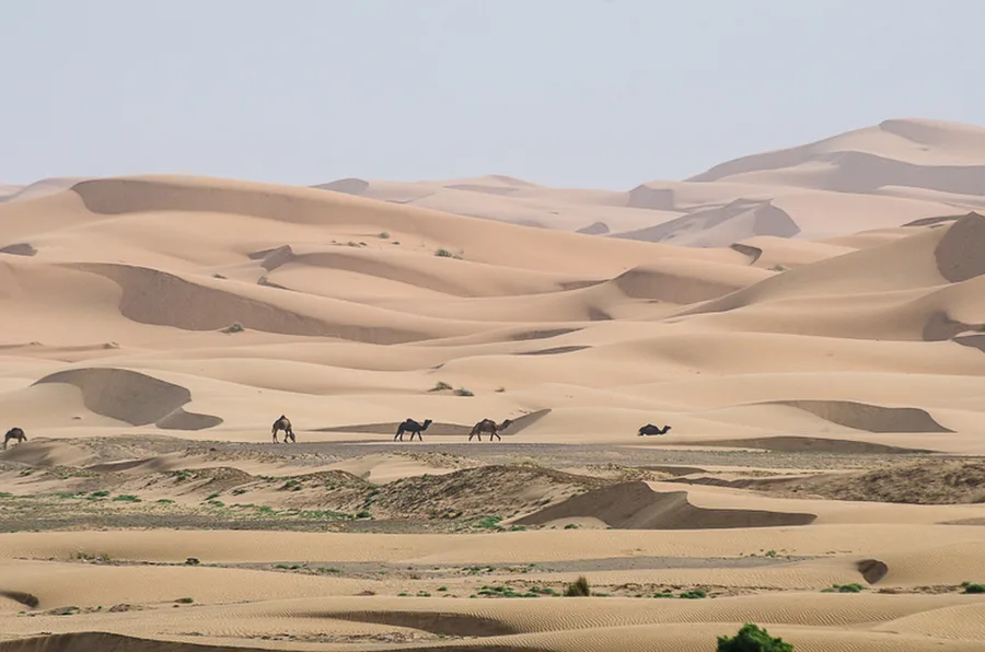 Erg Chebbi