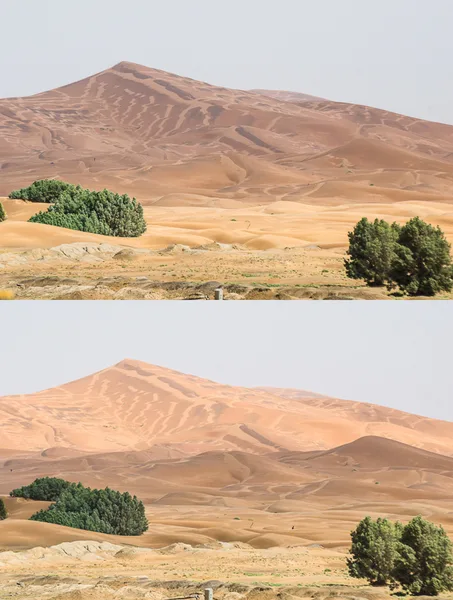 Erg Chebbi