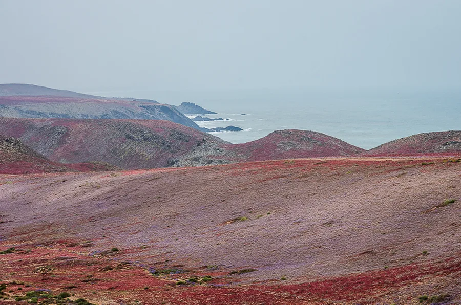 Atlantik