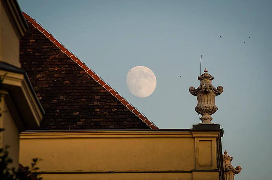 Vídeň