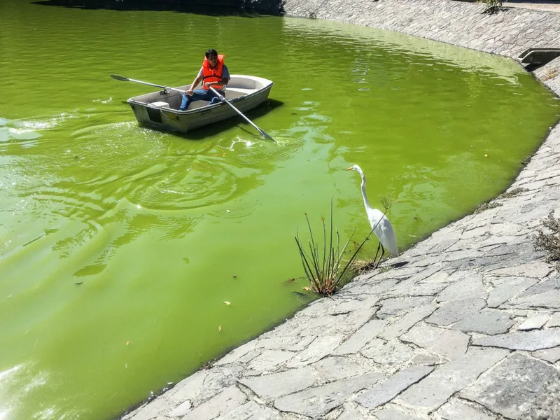 Chapultepec