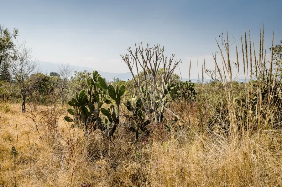 Espacio Escultórico UNAM