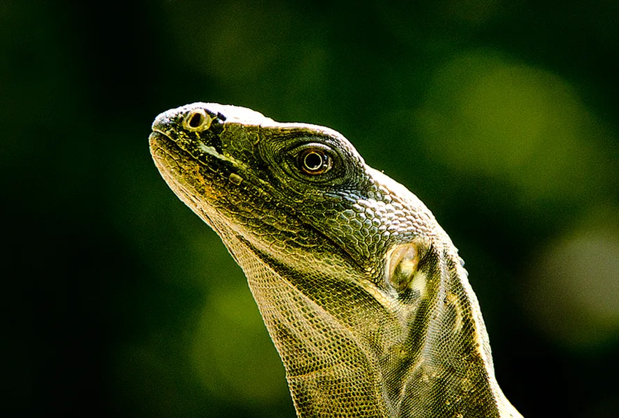 Huatulco