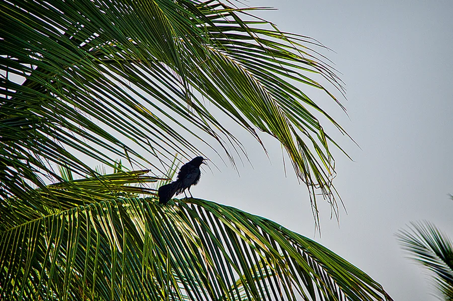 Huatulco