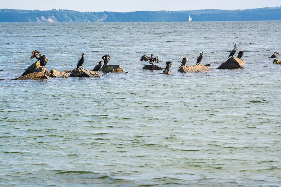 Sassnitz