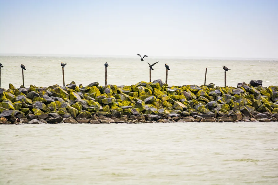Lelystad