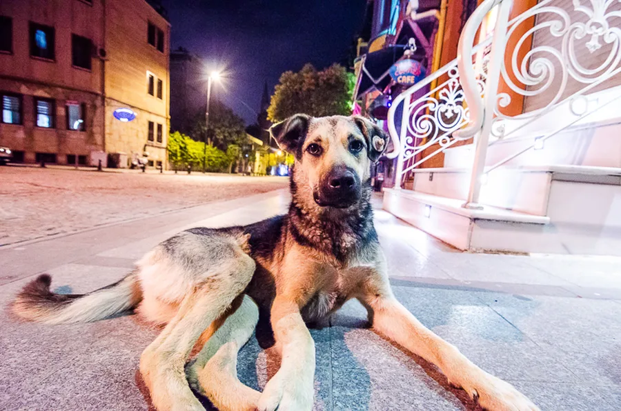 Istanbul