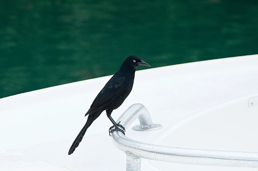 Puerto Aventuras